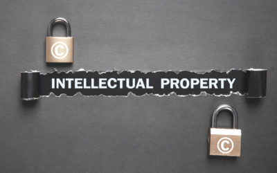 Zimbabwe Intellectual Property Office: Back to Business!